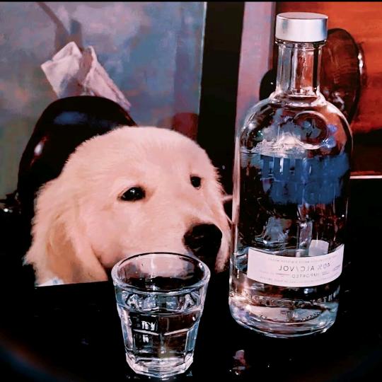 川不辞盈
