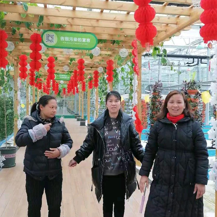 开开心心人不老