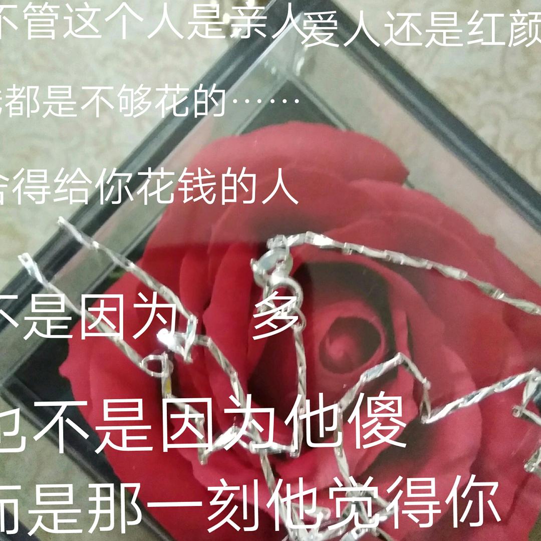 用户我愿意陪伴你一生