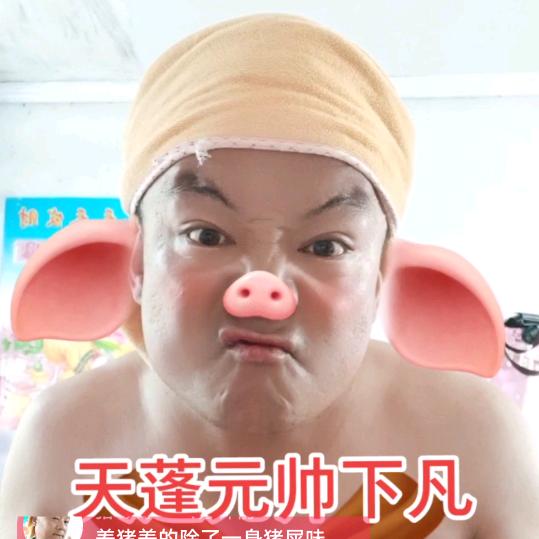 猪ぁ哥【臧传德】