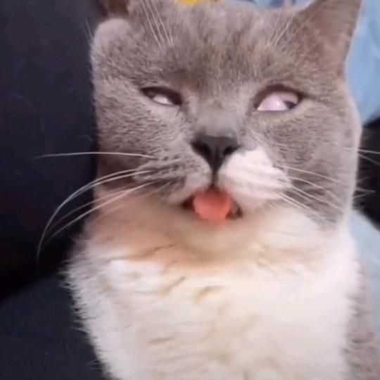 小慧的店服装批发