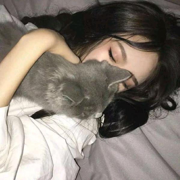 伏笔🙃
