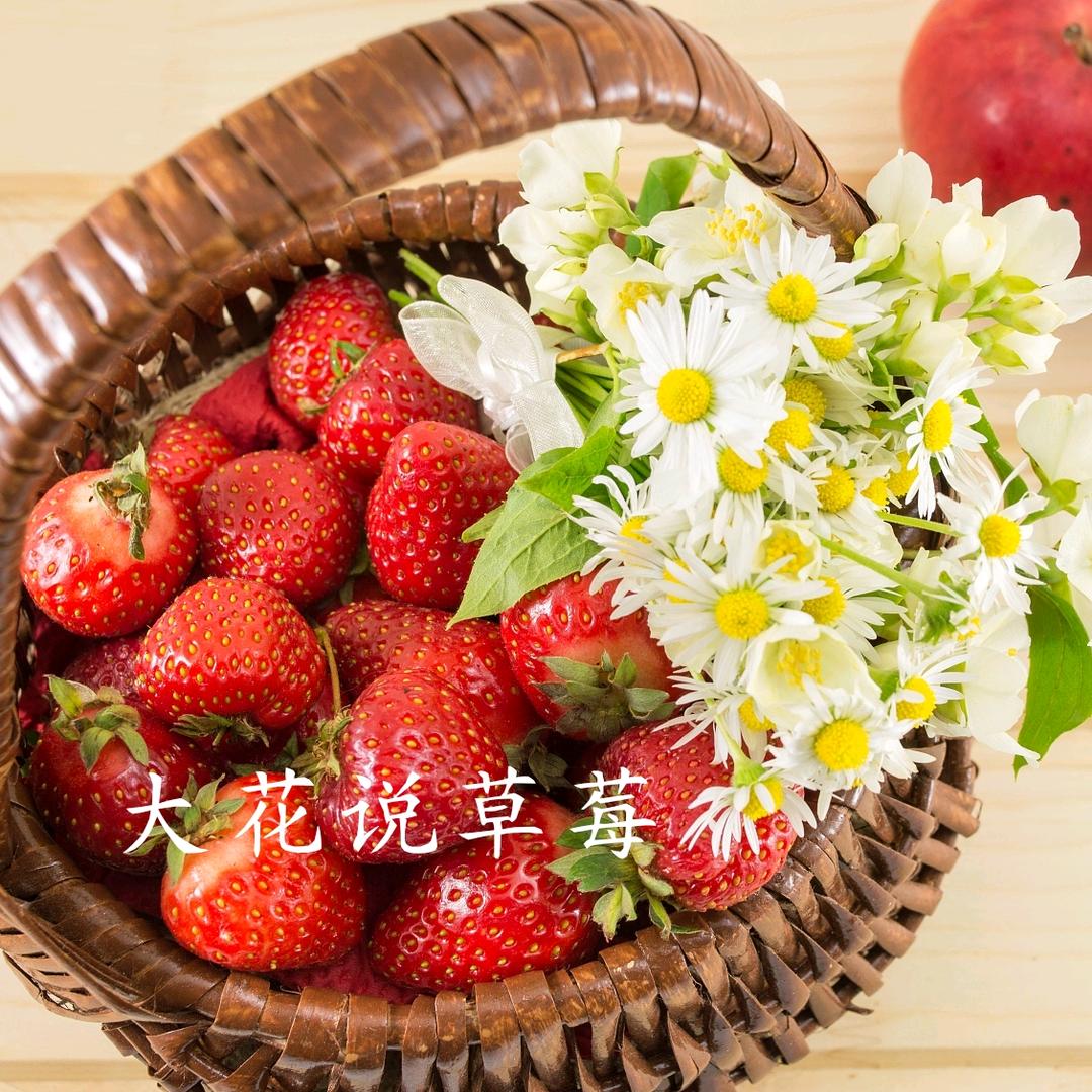 大花说草莓🍓