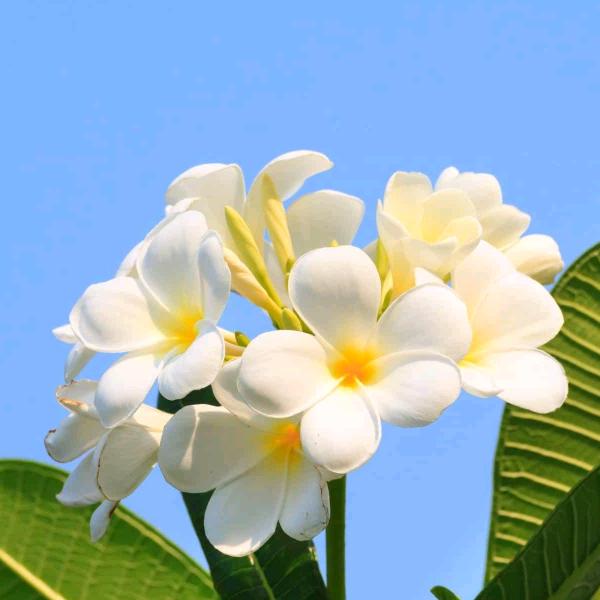 一生快乐健康平安