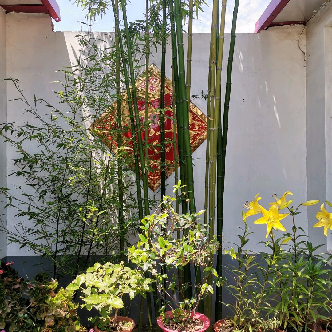恒辉家电清洗