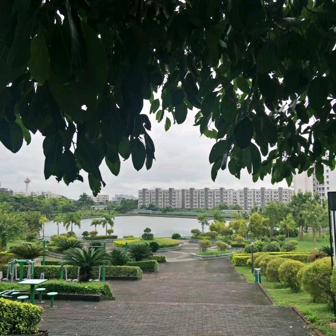 开心果🈶💰💰👏👍