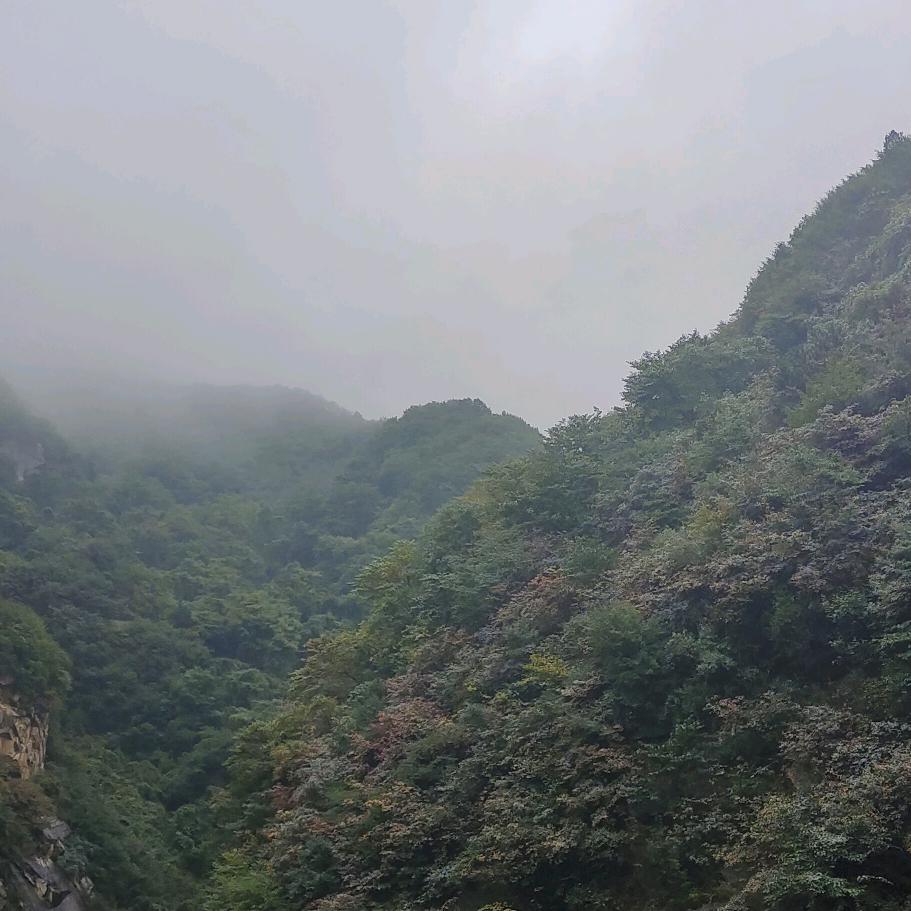 借口