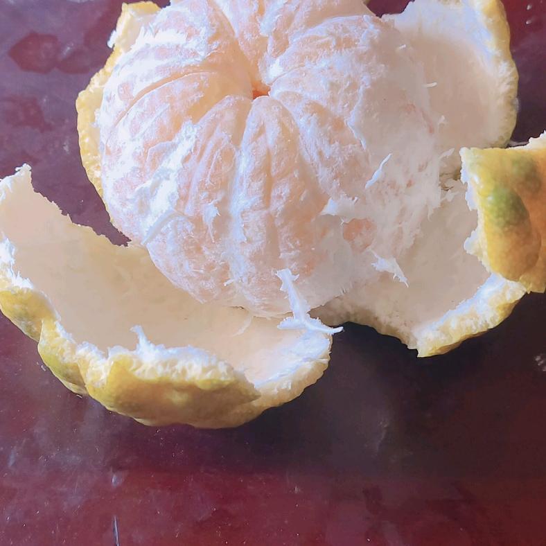 阍者