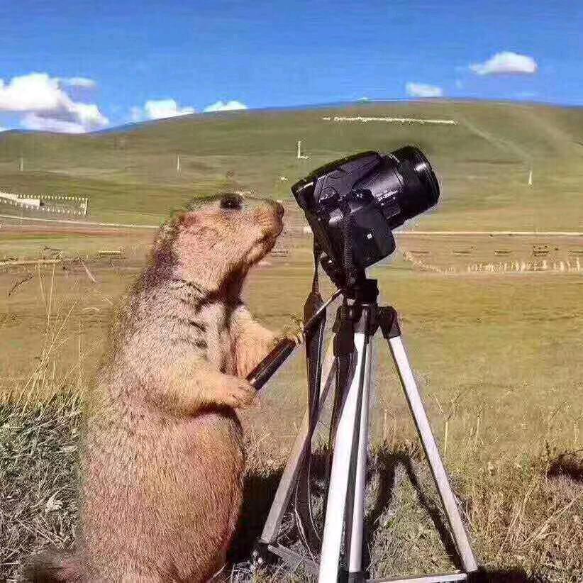 骑迹