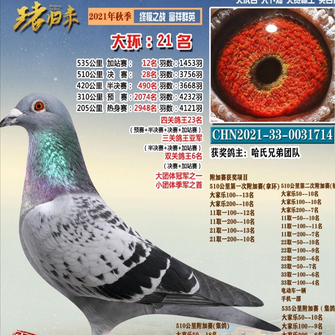 鹏林电料