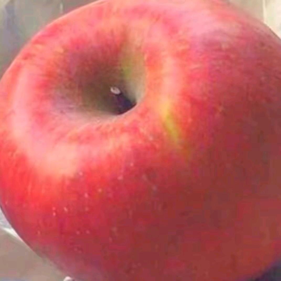 金哥哥（南宁站可帮带周边）