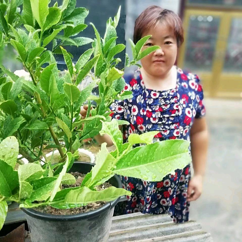 幸福