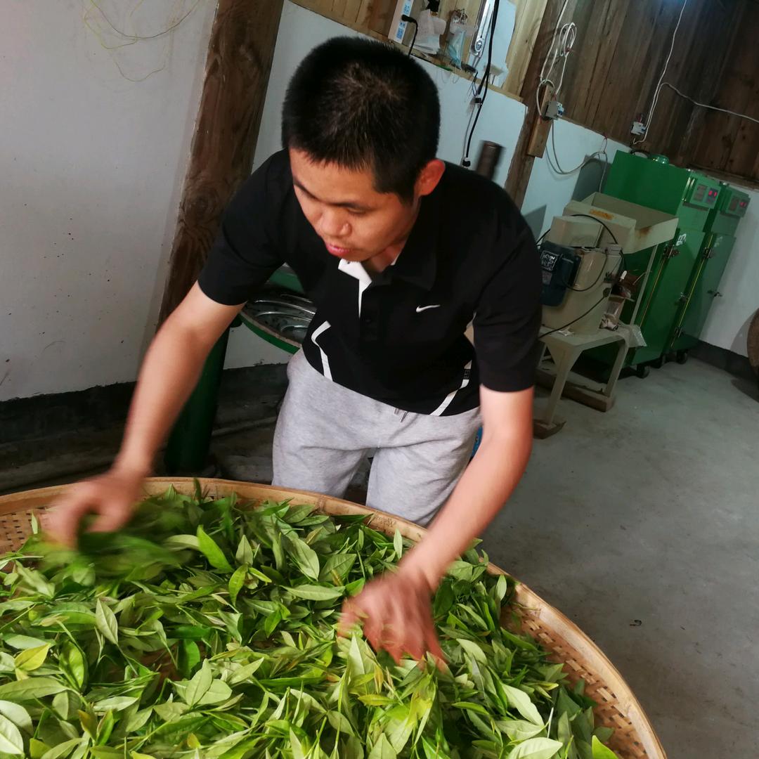 有机农夫（武夷岩茶）