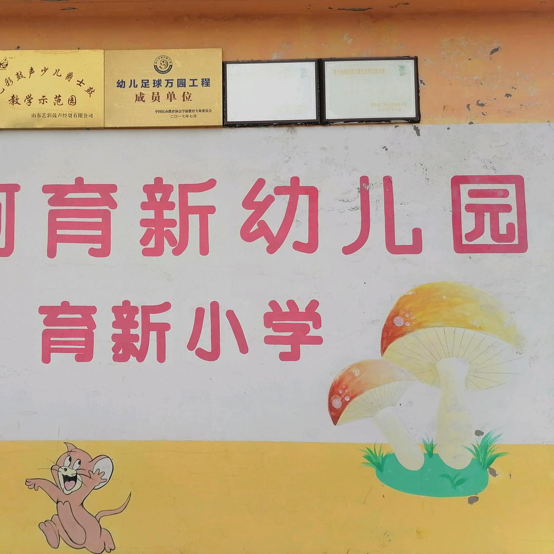 刘文杰《小何育新幼儿园》