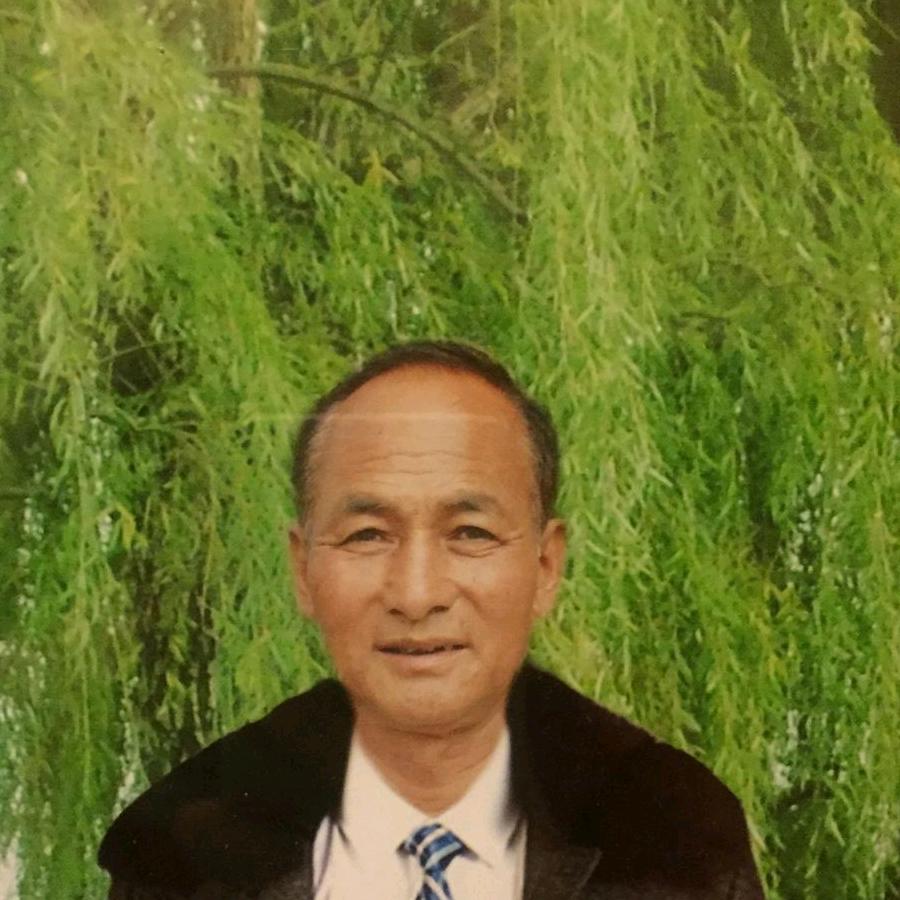 巴总麻尼