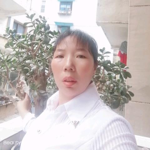 小娄