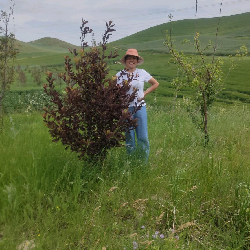 白夜玲珑不定时直播