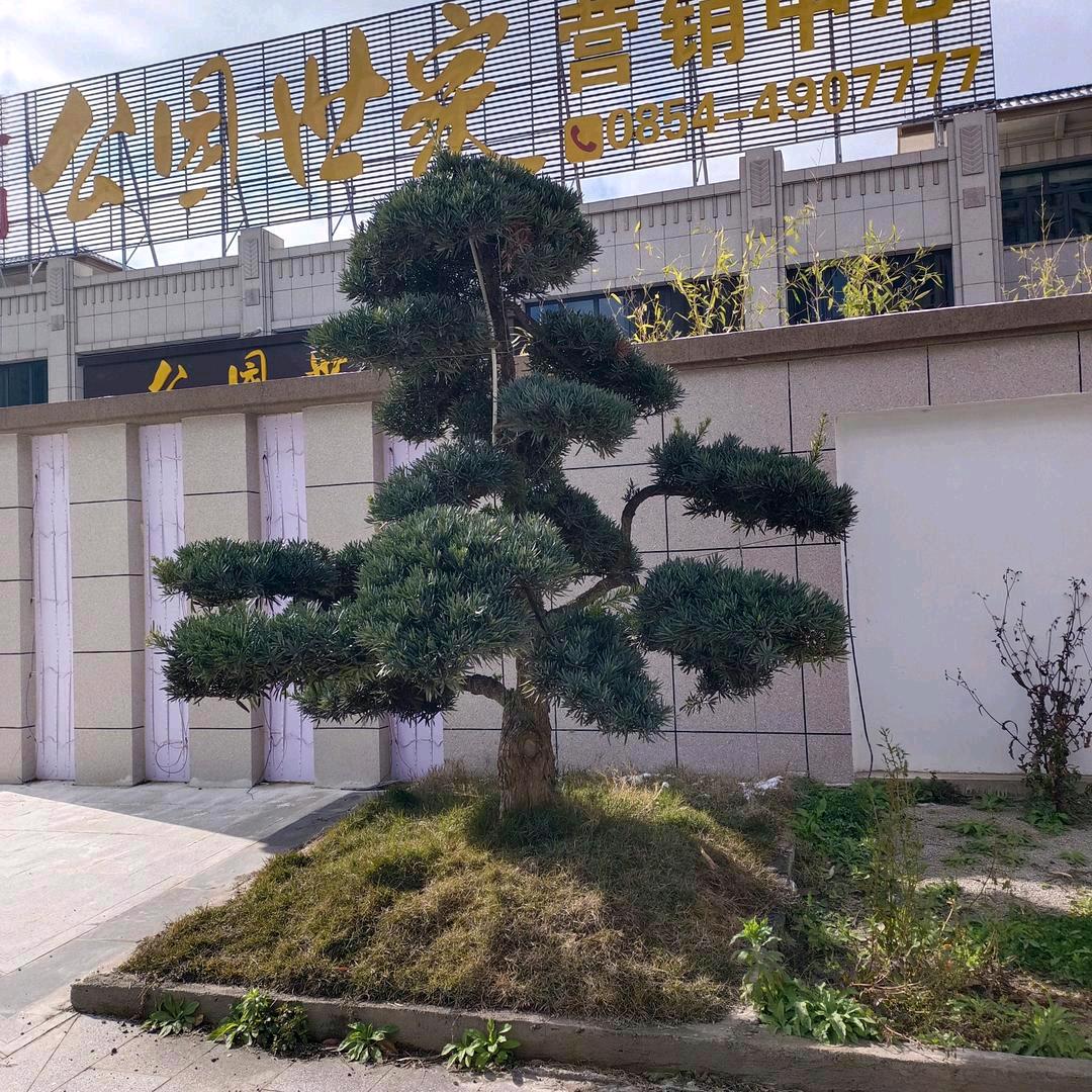 开心过好美好的一天