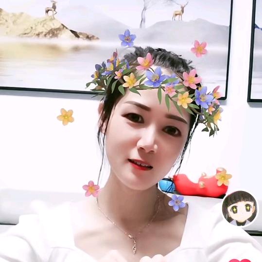 知了 麻城专业美缝