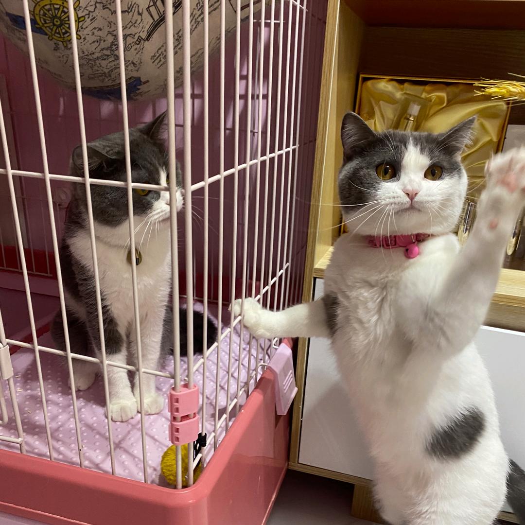 云龙区岳会美甲工作室