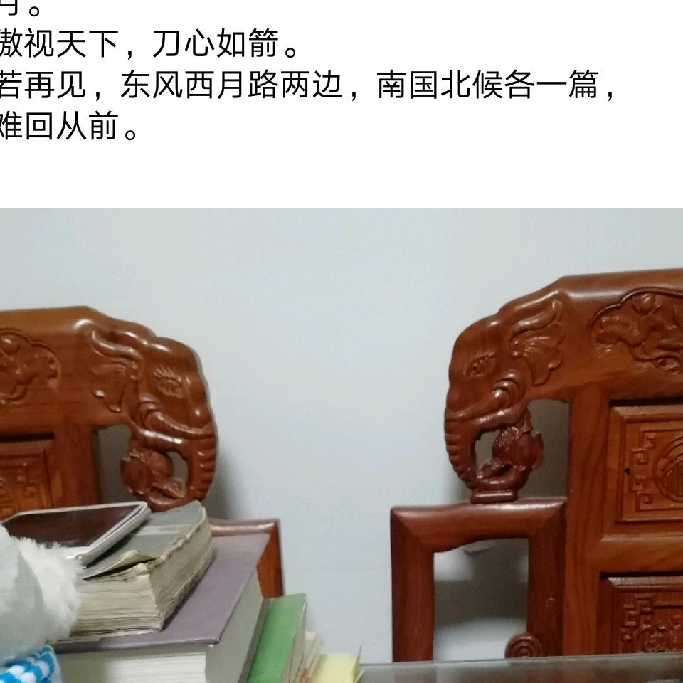 飞雪漫天