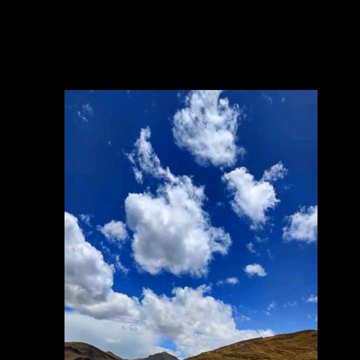 林中