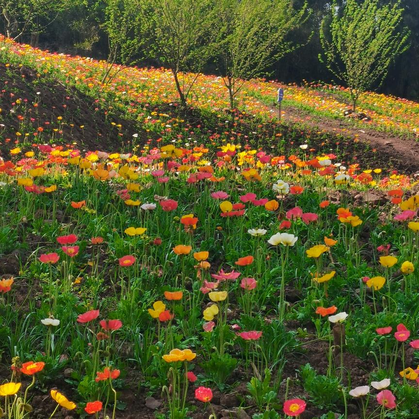 ③块⑤买瓶尖叫