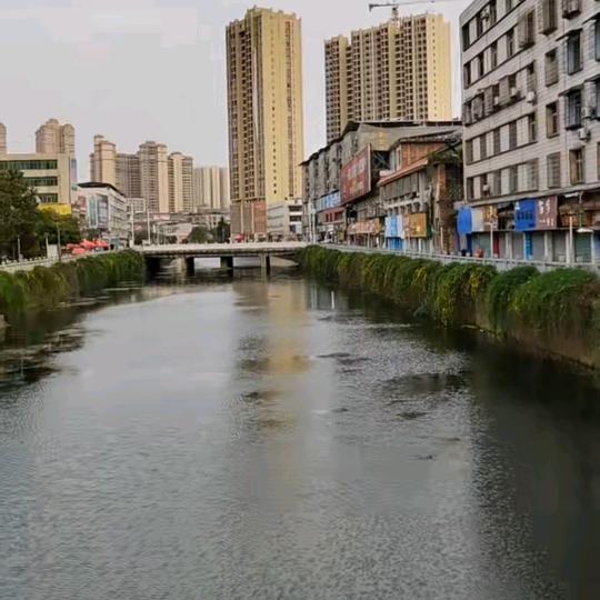 @5杨生
