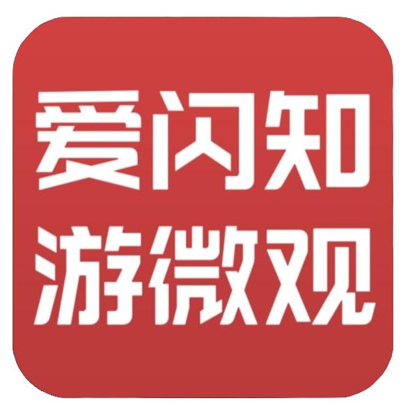 爱闪知游微观