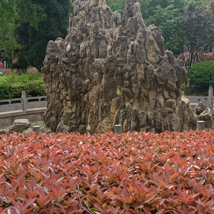孙伟国。