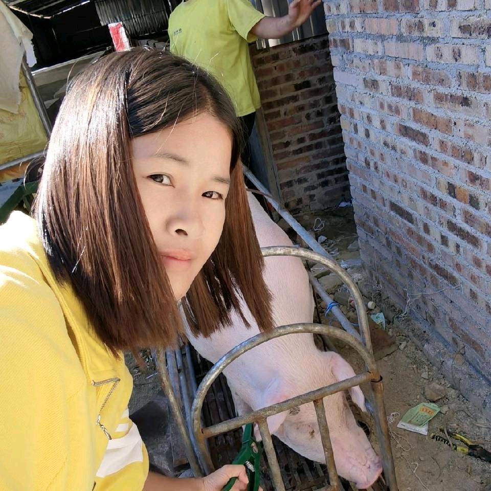 广西博白生猪中介玲姐xxm7756785