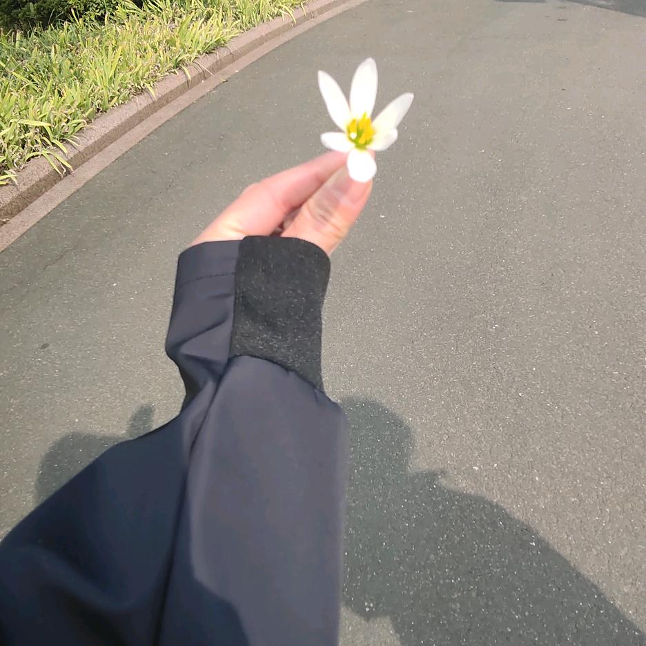 格格妈咪
