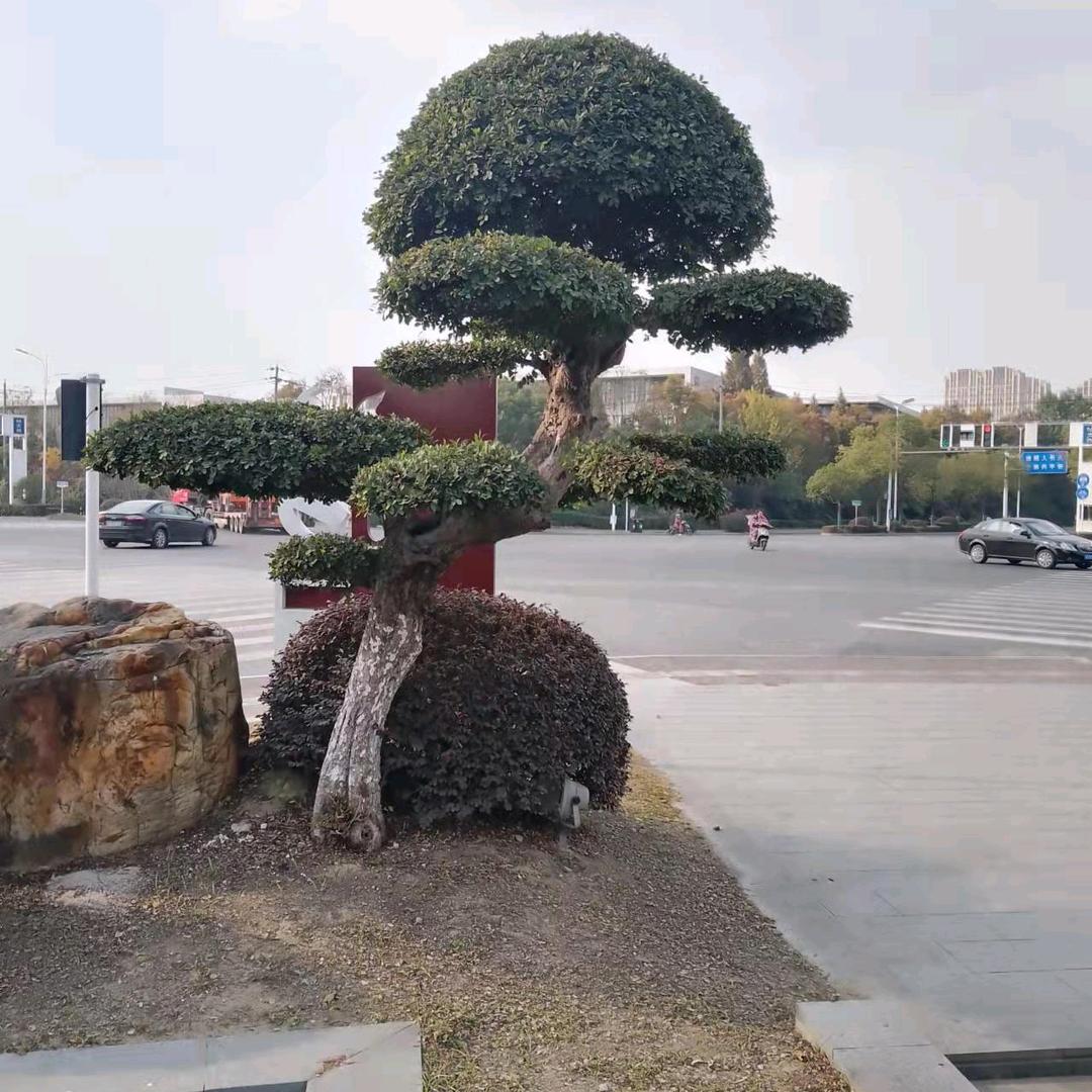 进群