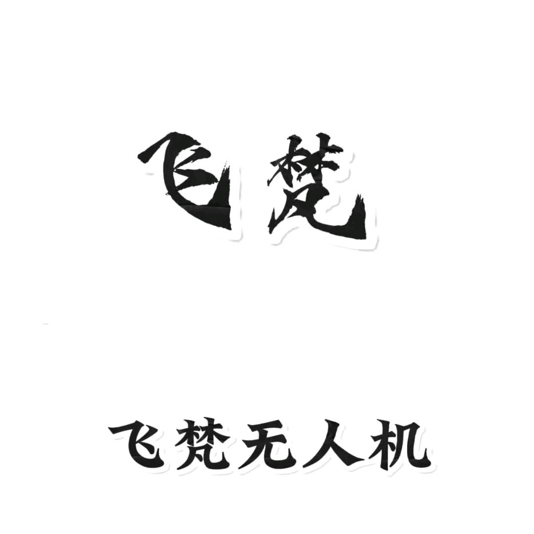 飞梵智能设备专营店
