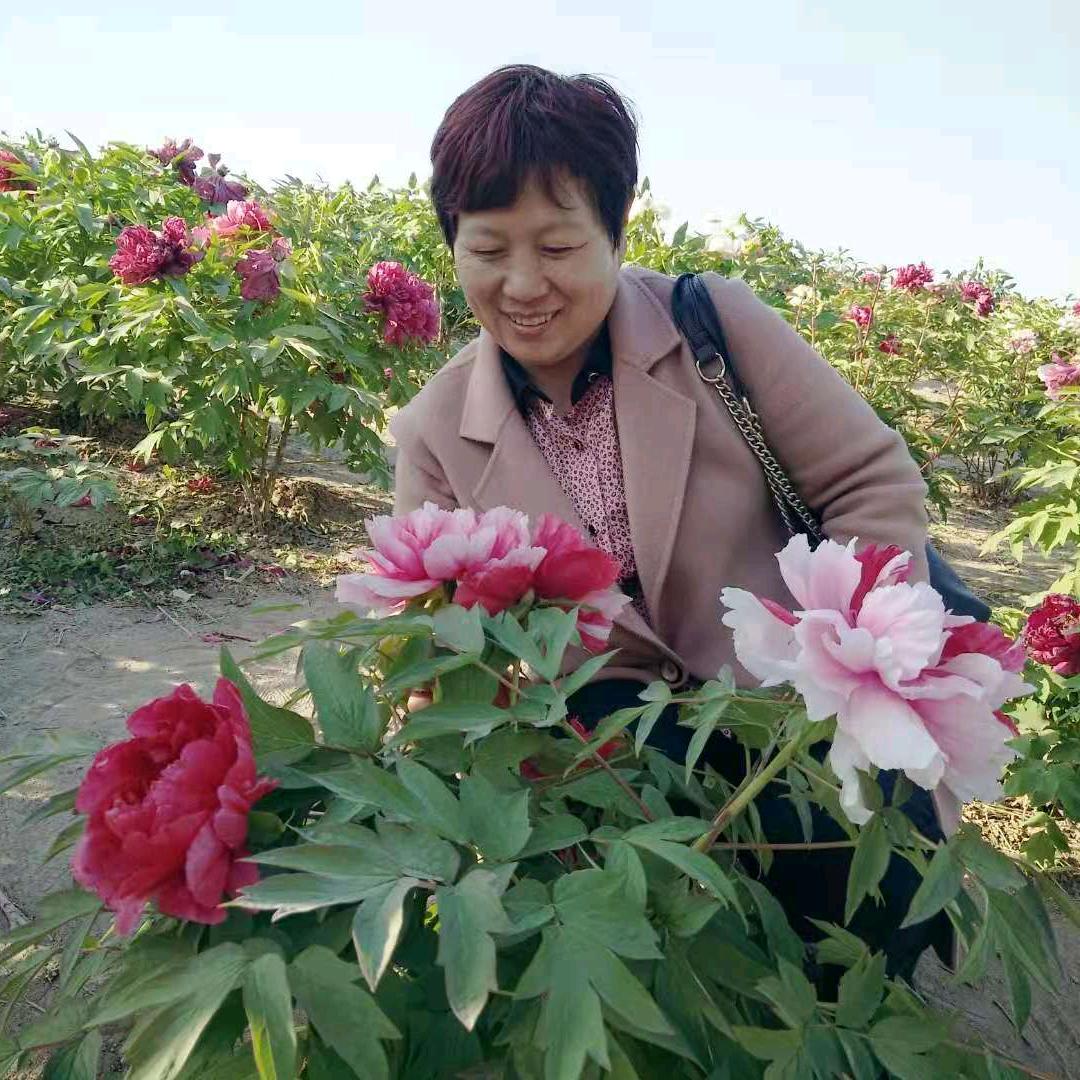 王姐
