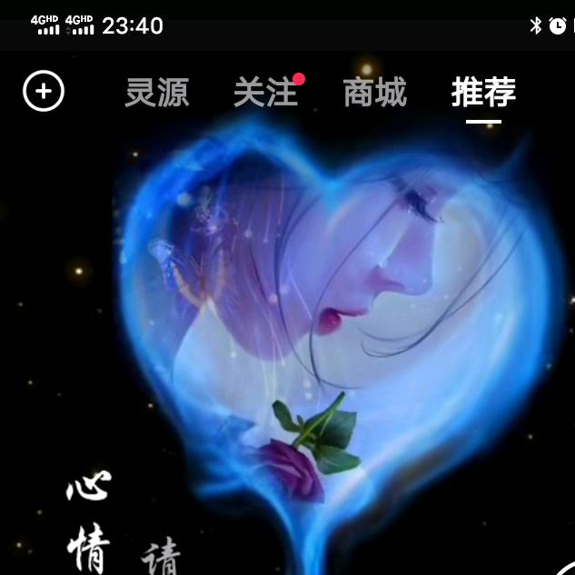 牡丹花