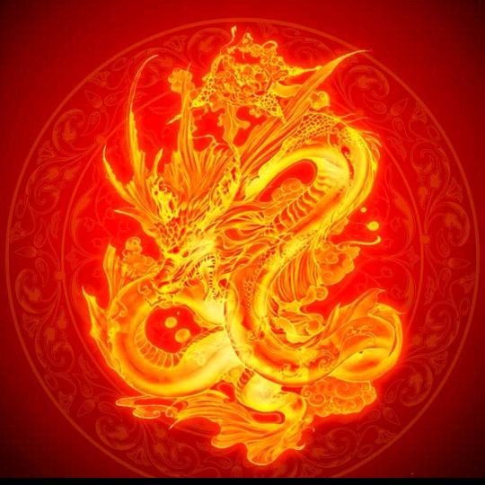 龍九