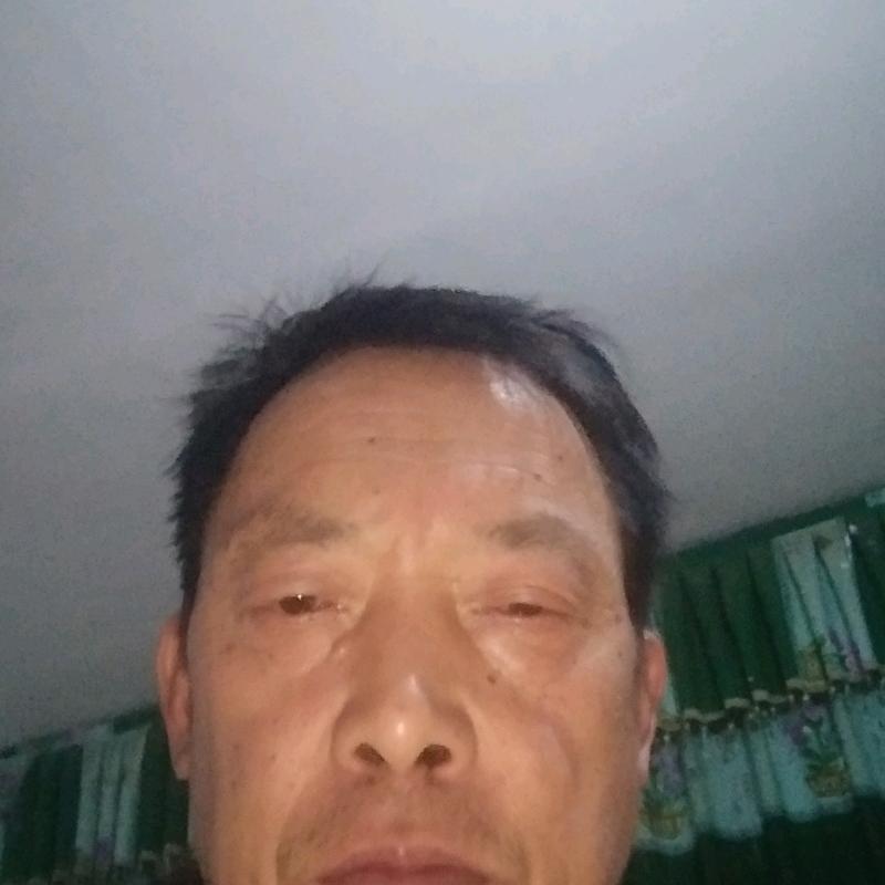 好朋友