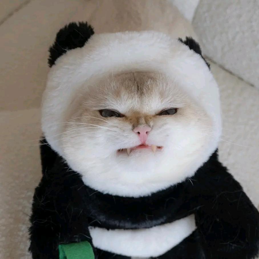 金木木