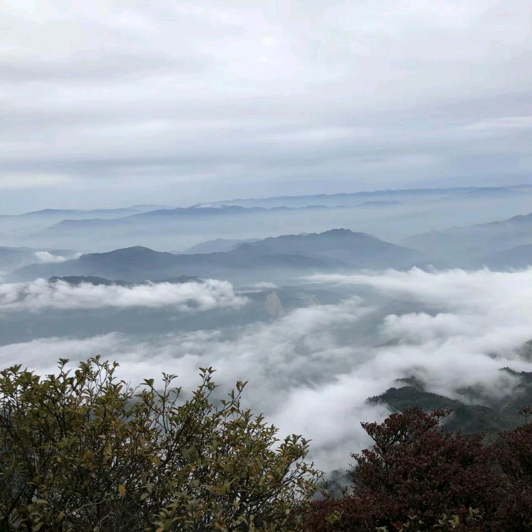 随风而逝
