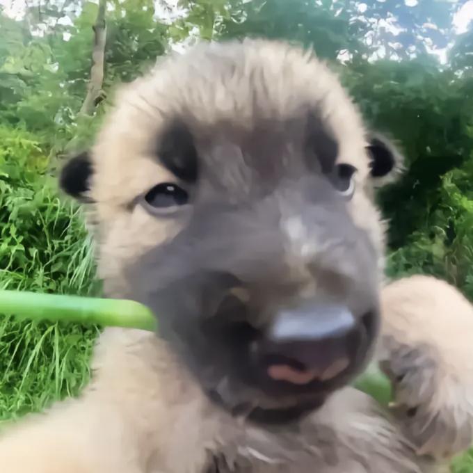 澡尚也没那么耗😥