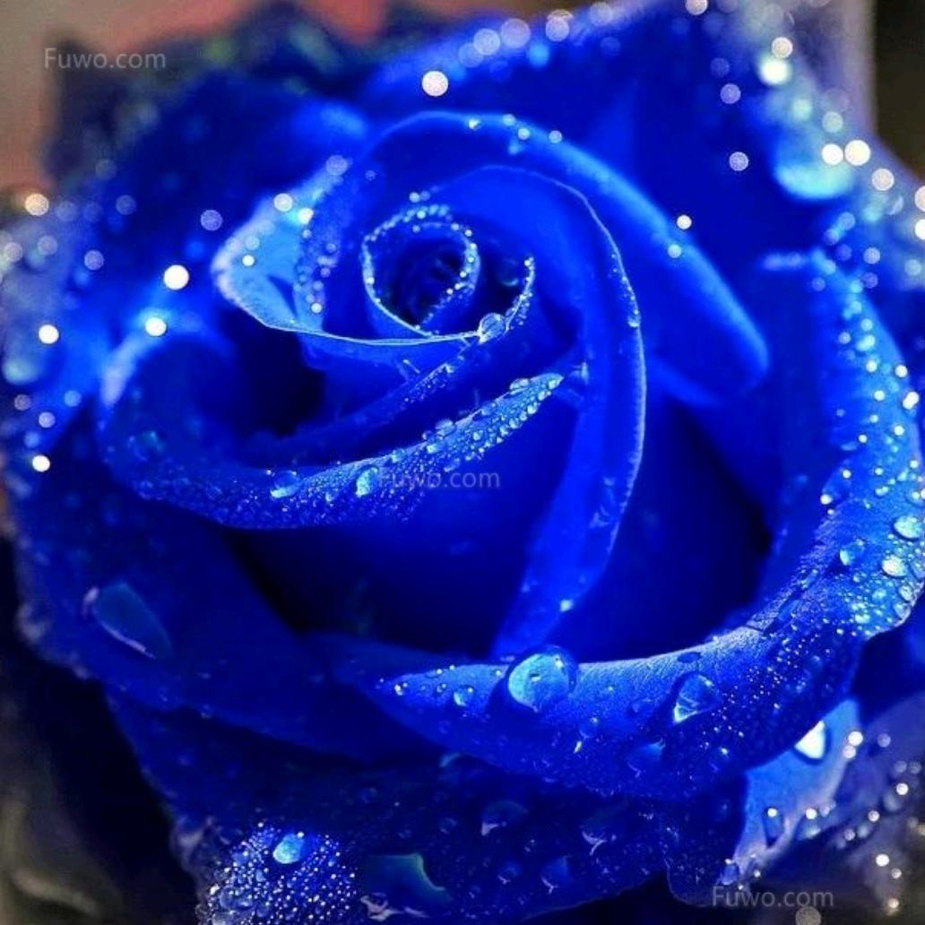 余🐬梦🏄🏻‍♀️似🎄海