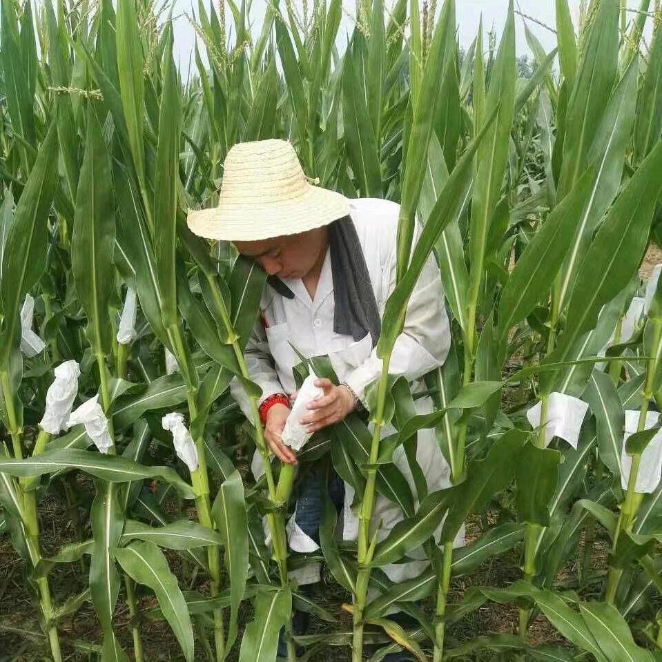 瑞禾达丰