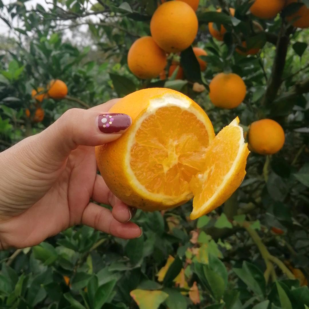 南康爱琴海购物公园皇室童缘