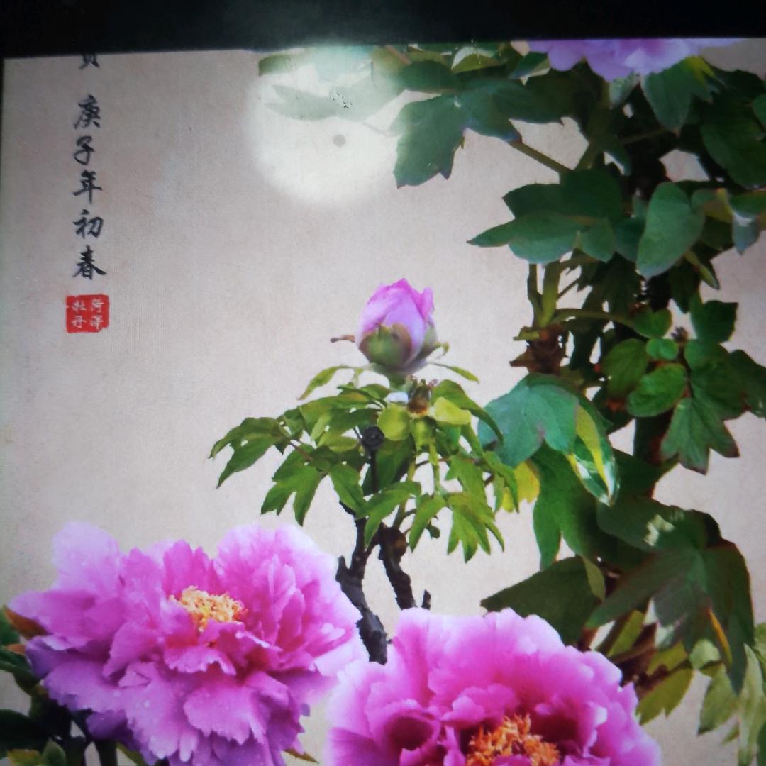 平平安安