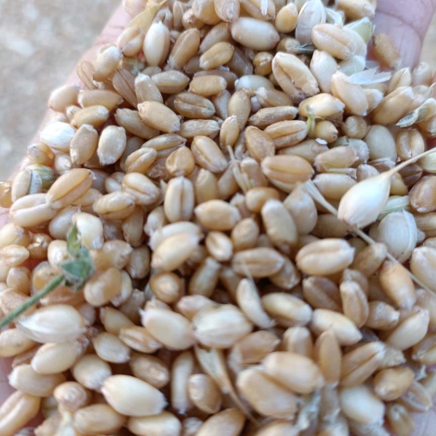 侃不见用户2286678873018