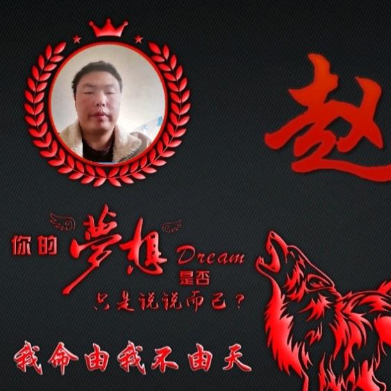 赵团勇