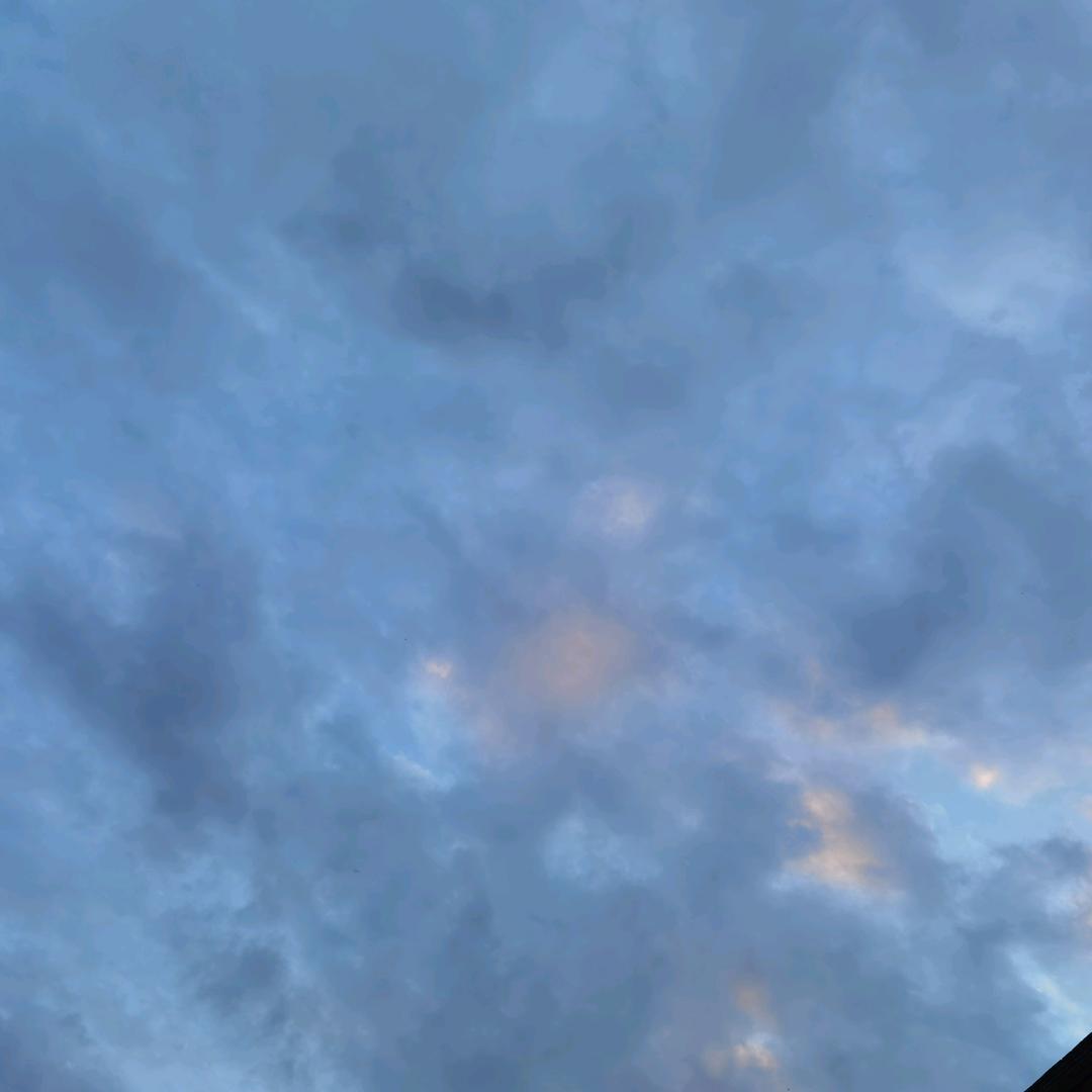 小晚晚晚晚晚啊