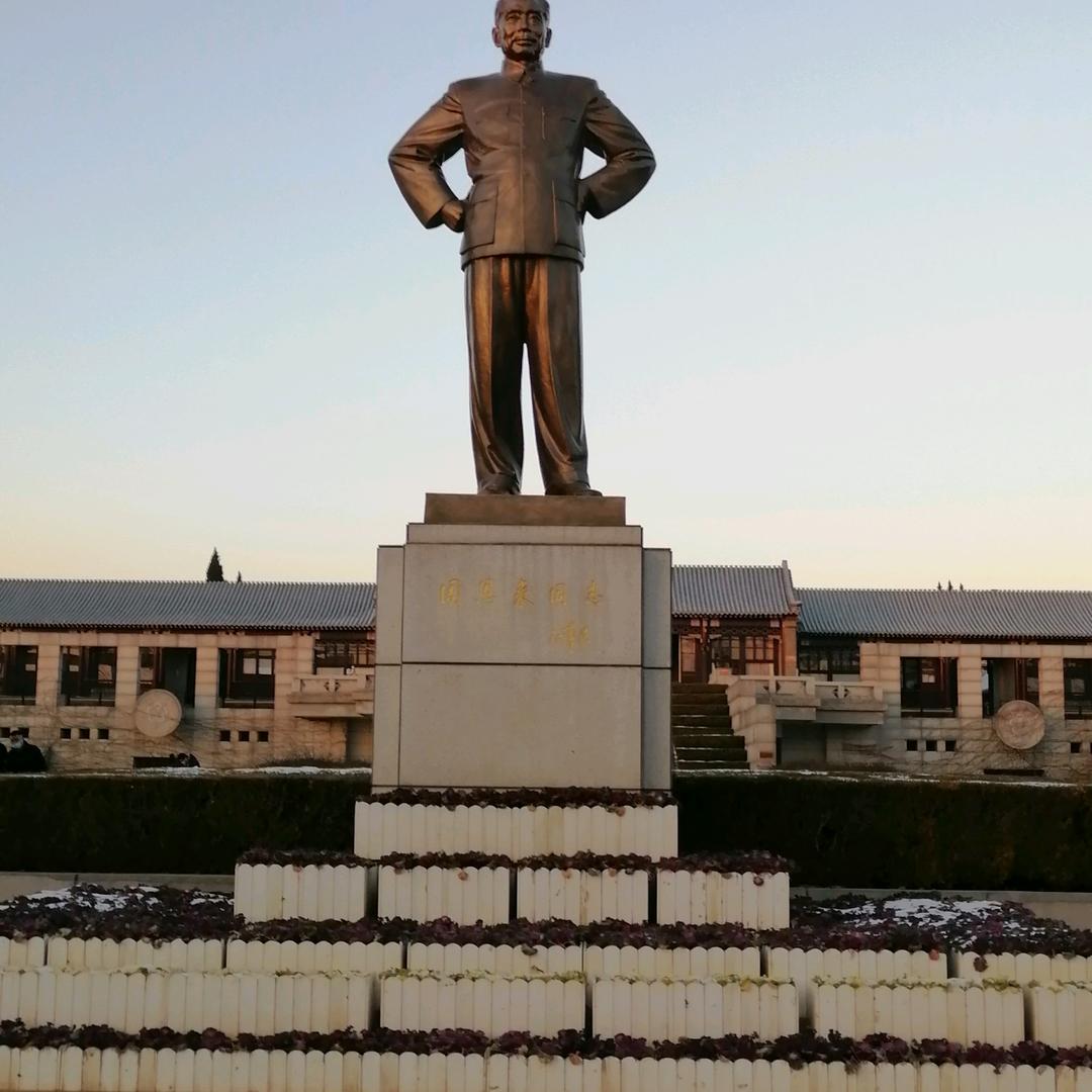 归来吧，小绵羊