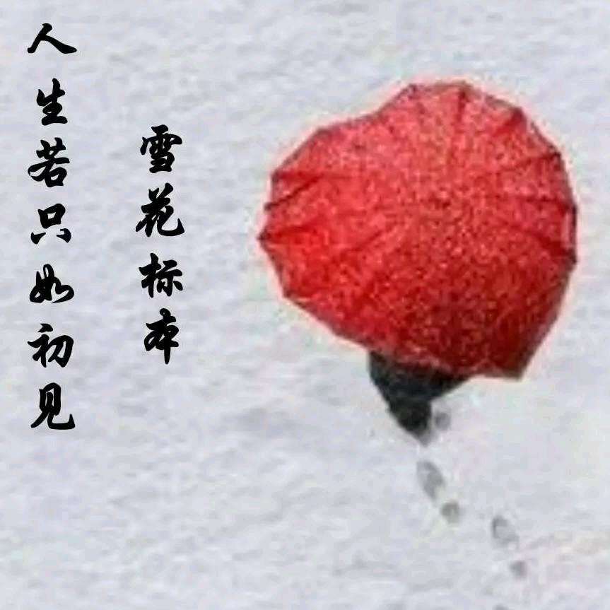 雪花标本